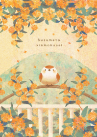 Sparrow and fragrant olive