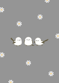 Three Little Birds 01_2
