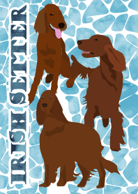 IRISH SETTER Water surface