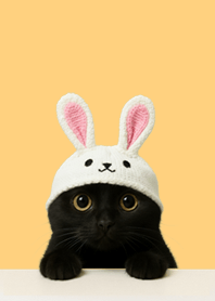 うさぎ帽の黒猫｜やさしいイエロー#10