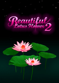 Beautiful Lotus Flower2