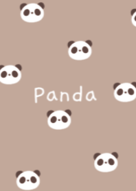 ぱんだ /ブラウン