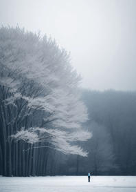 Mountain snow   B63BDd