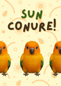 ซันคอนัวร์ตัวแสบ