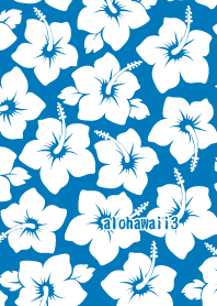 alohawaii3