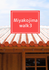 Miyakojima walk3