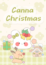 Canna Christmas1