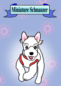 ZIPPY the Schnauzer