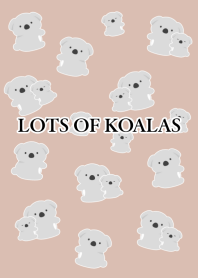 LOTS OF KOALAS-DUSTY BROWN