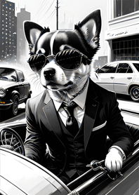 Anjing Tinta, Chihuahua10