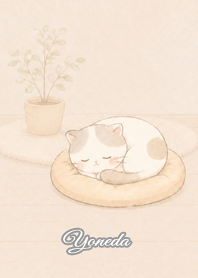 Cozy Lazy Cat: Yoneda