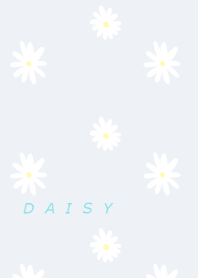Daisy flower