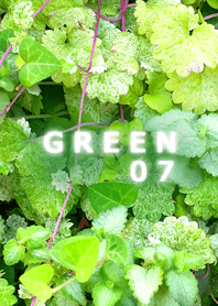 GREEN-緑07