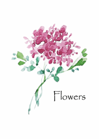 水彩のフラワー・レッド