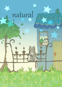 Cat and Scandinavian house.