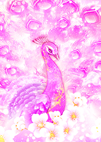 Connecting the edges [Pink Peacock]