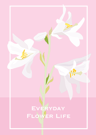 Everyday Flower Life_ Lily_pink