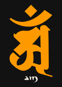 BONJI zodiac [aM] BLACK ORANGE (0854