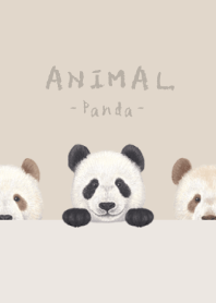 ANIMAL - Panda - PASTEL BROWN
