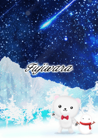 Fujiwara Polar bear winter night sky