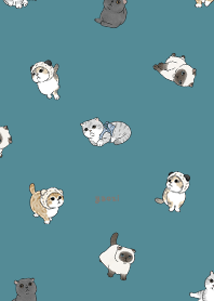 neko combo1 / neil blue