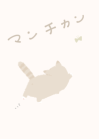 アイボリー×マンチカン