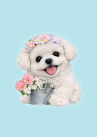 Spring Plush Poodle 2 Green 09