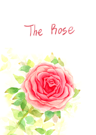 the rose story