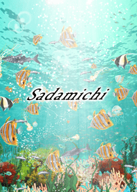 Sadamichi Coral & tropical fish2