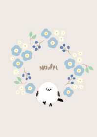 Long-tailed tit carrying flowers21 Japan