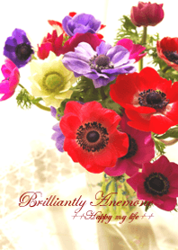 Brilliantly Anemone