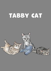 tabbycat5 / dark grey .jp