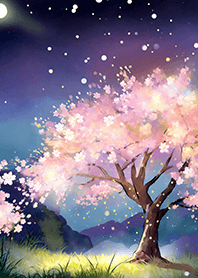 Beautiful night cherry blossoms#1180