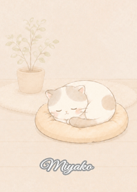 Cozy Lazy Cat: Miyako
