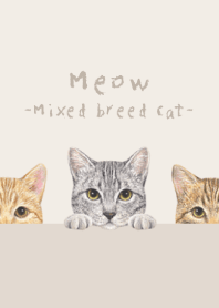 Meow - Mixed breed cat 03 - WHITE/BROWN