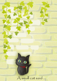 オトナですから…1,2（黒猫）