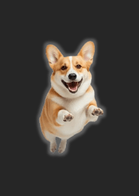 ธีมคอร์กี้น่ารัก B/W 02