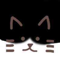 cat's colors- Tuxedo