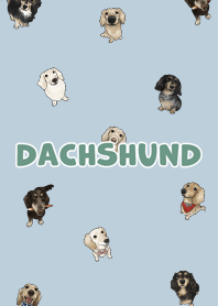 dachshund6 - blue