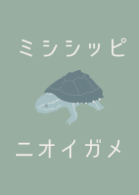 くすみグリーン×ミシシッピニオイガメ