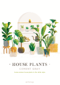 House plants:Cement gray