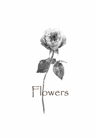 Simple rose3..