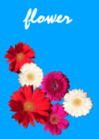 花の写真きせかえ
