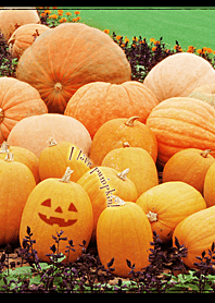 I love pumpkin!