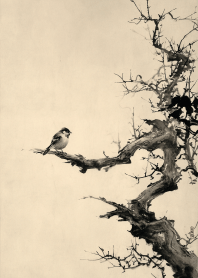 Spirit of the Old Tree