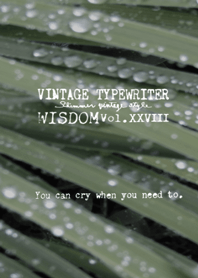 VINTAGE TYPEWRITER WISDOM Vol. XXVIII