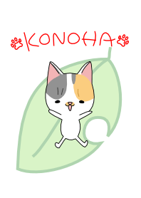 KONOHA of kitten