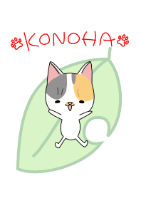 こねこのこのは