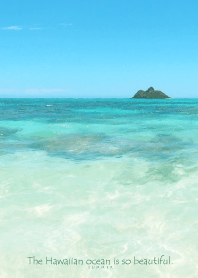 Hawaiian ocean is so beautiful -shell-42