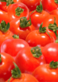 山盛り プチ トマト です　野菜　とまと